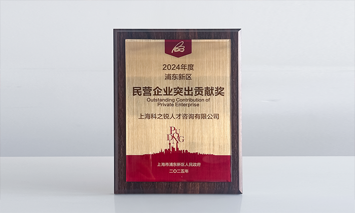 人力资源供应商凯发K8国际国际凭借人才服务与在区域经济开展中的卓越表现荣膺2024年度浦东新区民营企业奖项